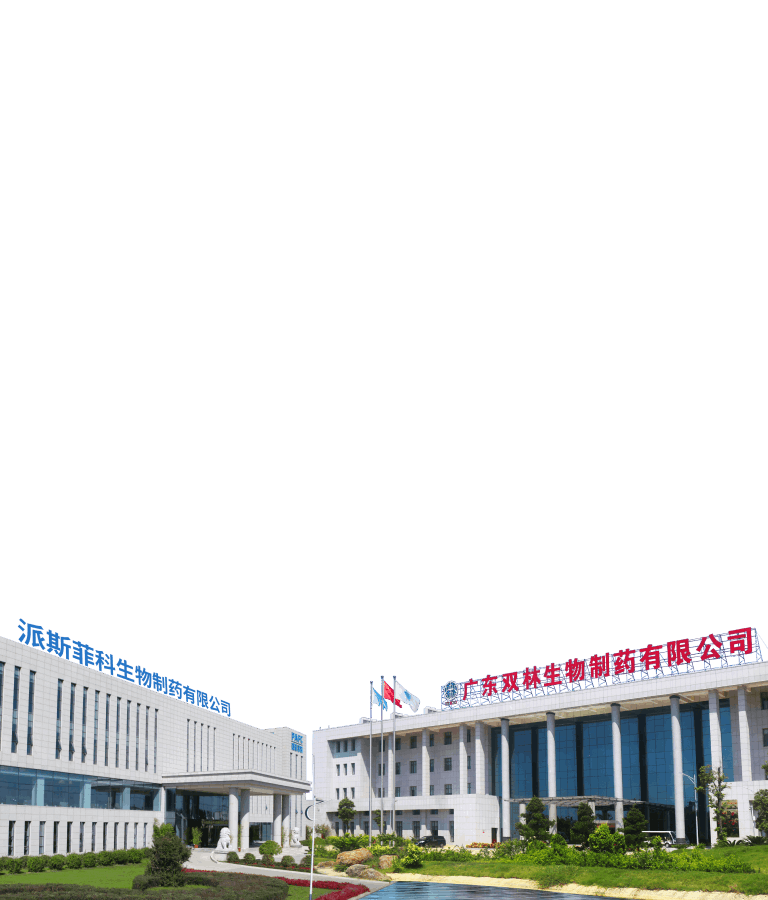 b1_img_01_ph.png