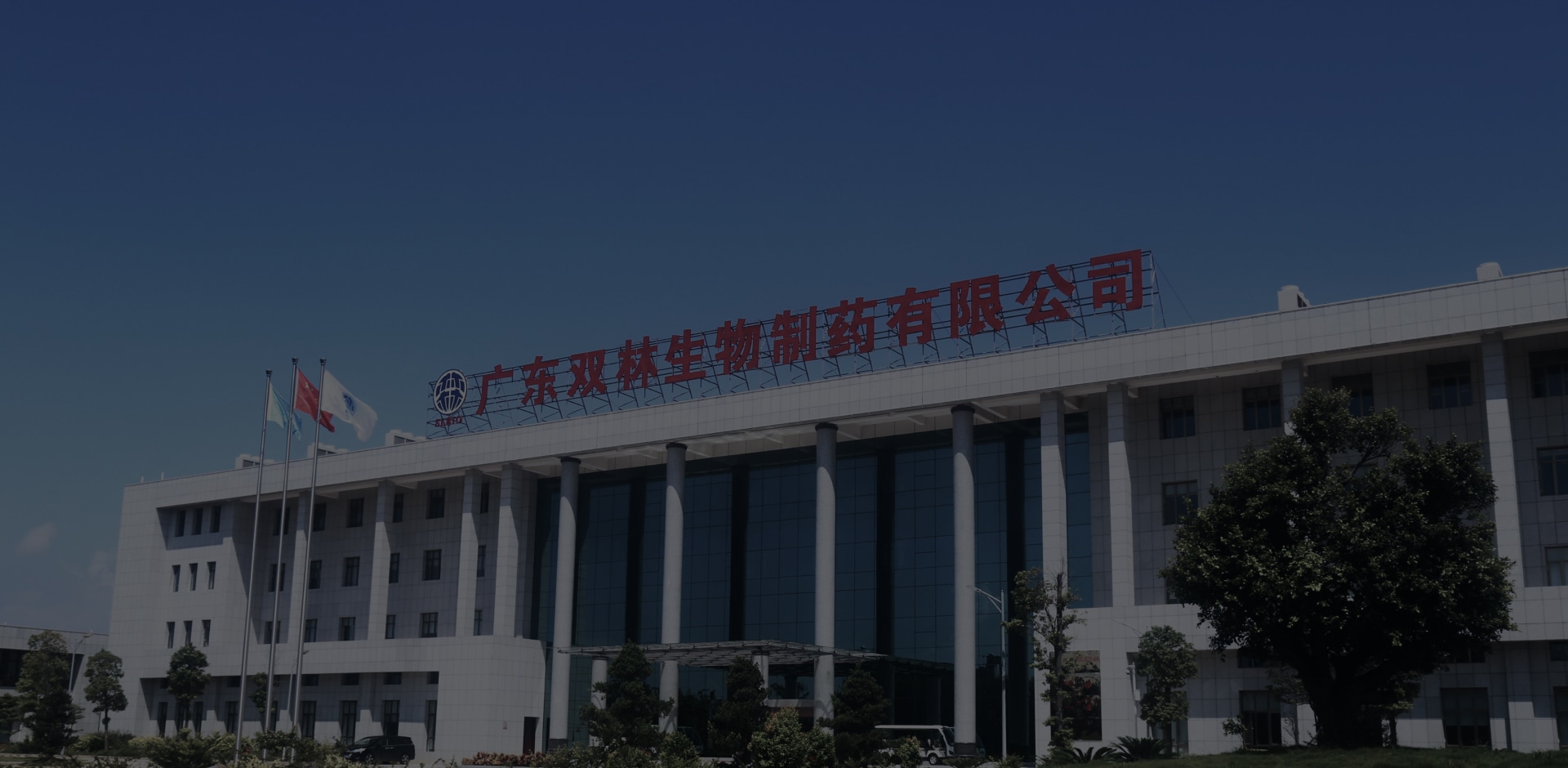 a1_banner_03.jpg