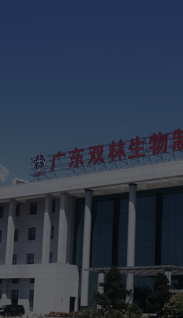 a1_banner_03_ph.jpg