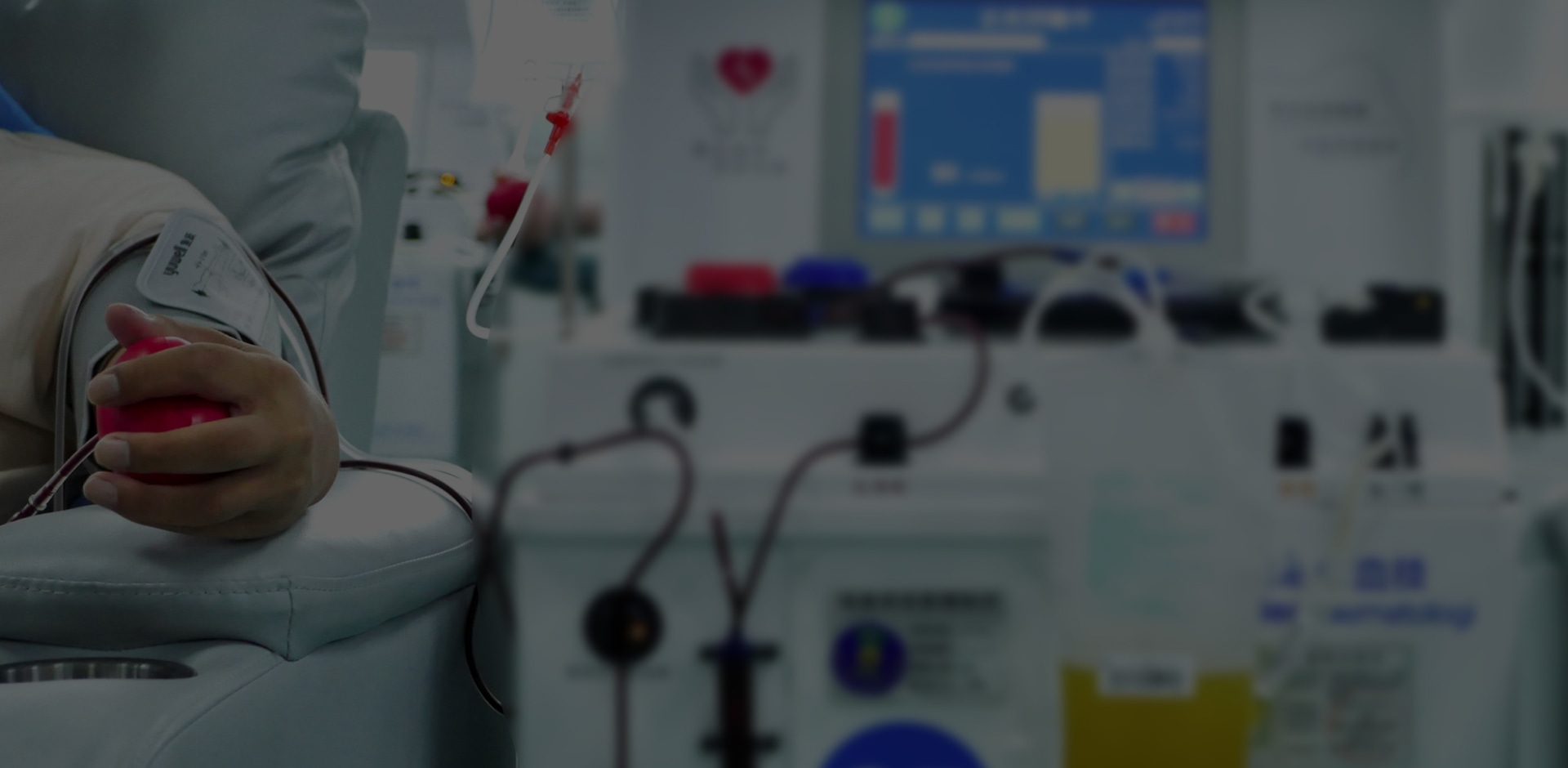 a1_banner_05.jpg