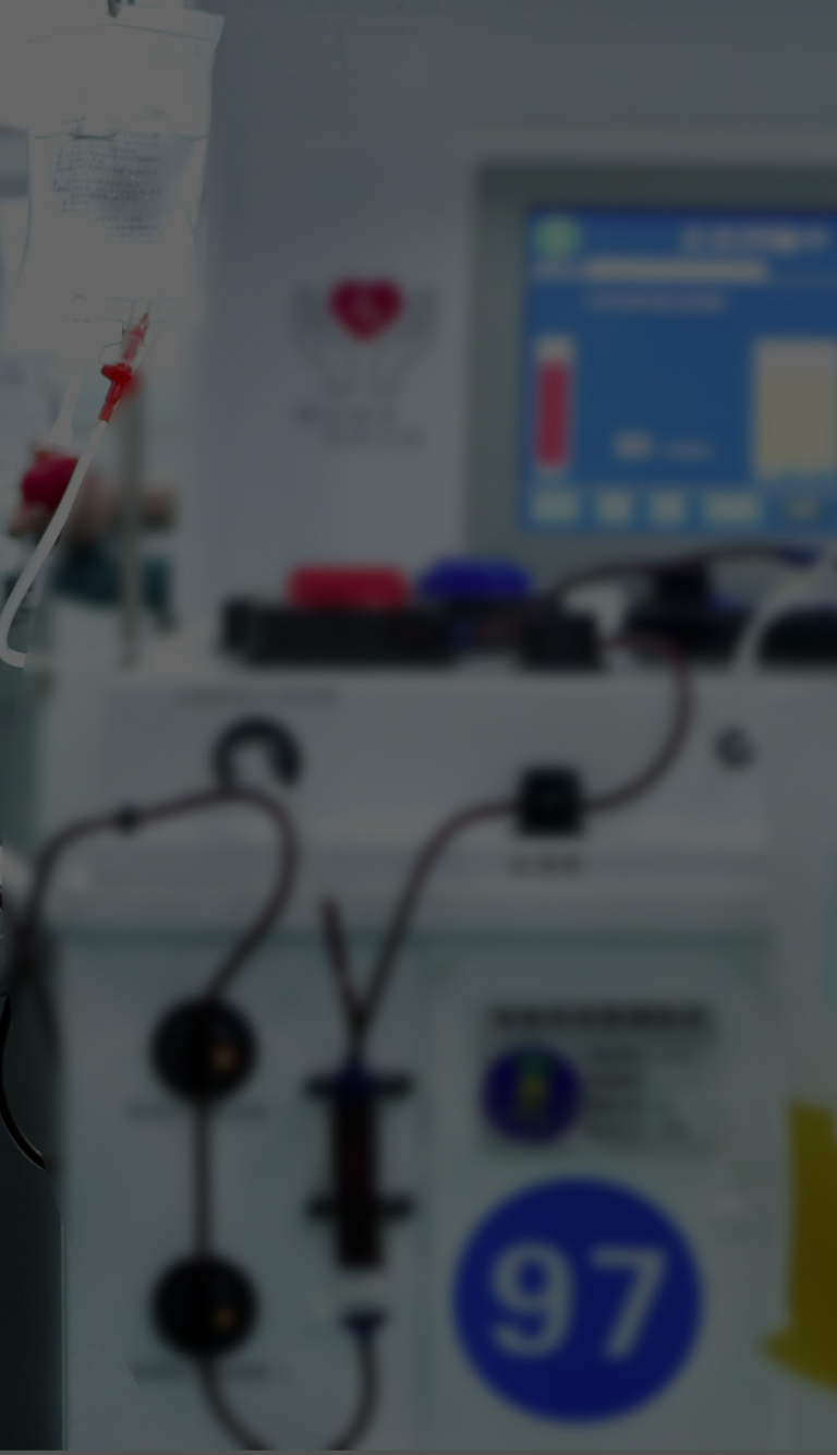 a1_banner_05_ph.jpg
